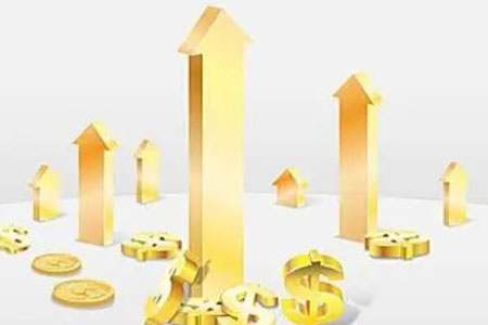 期货进口豆类品种盘点